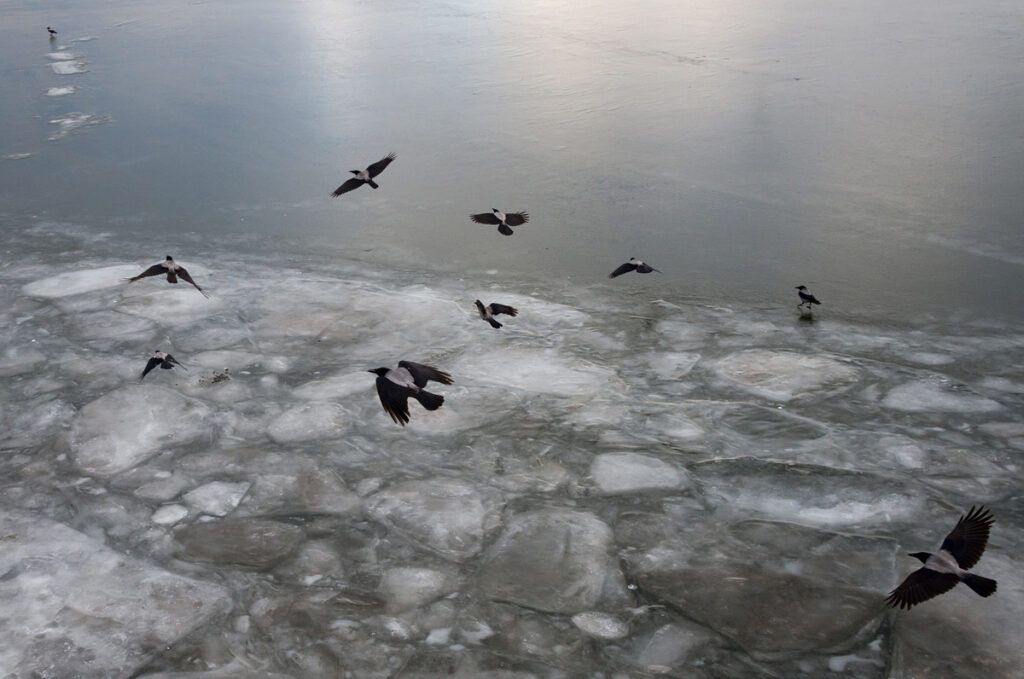 Ice on the Volga / Glace sur la Volga / Лед на Волге